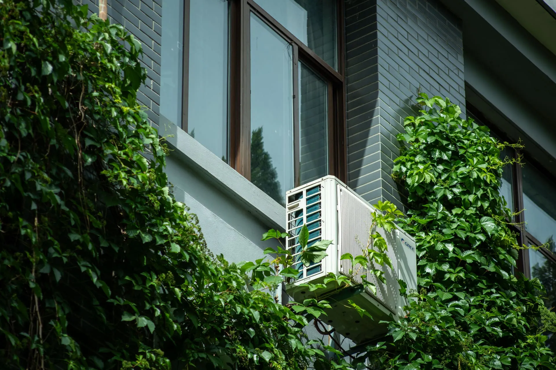 Outdoor air conditioning unit on a building wall surrounded by climbing ivy
