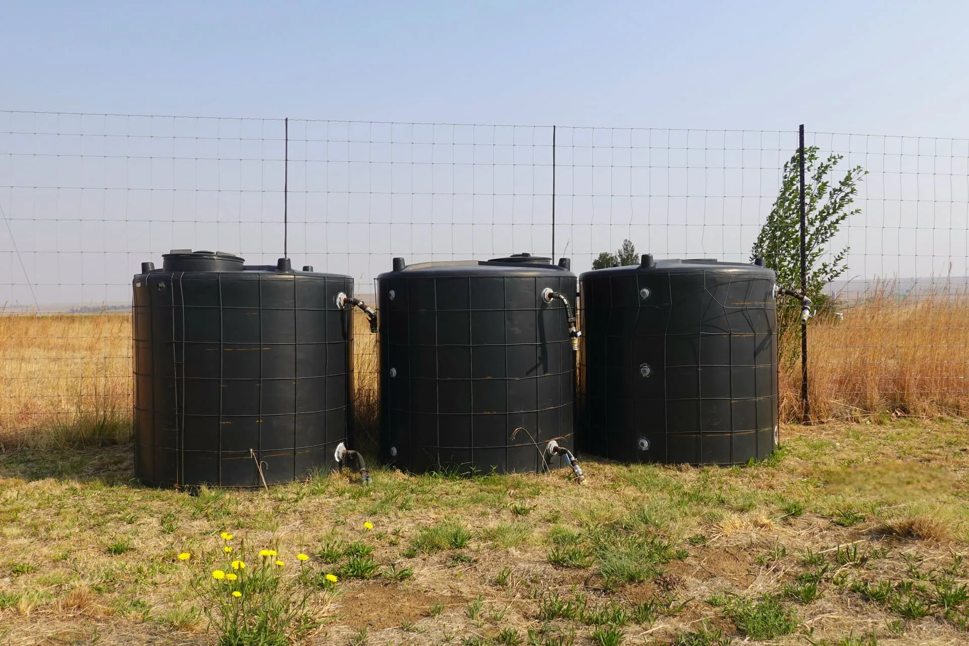 Three black poly rainwater tanks in a paddock, ready for a rainwater tank pump